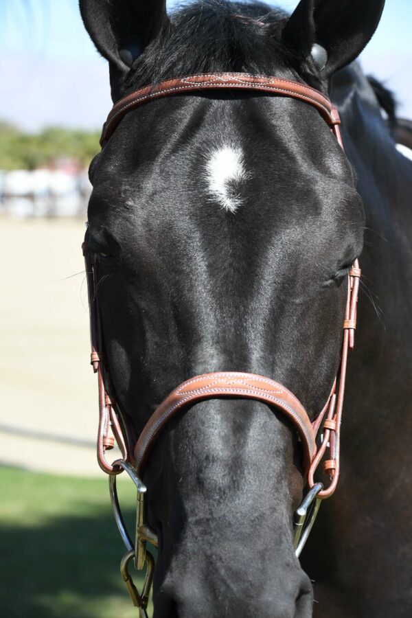 EquuSport Custom English Bridle - Image 3