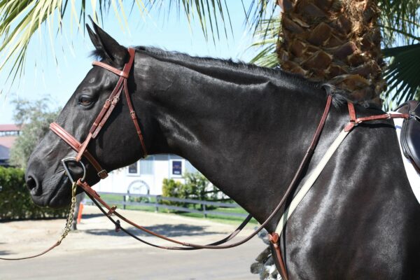 Elastic Hunting Breast Plate