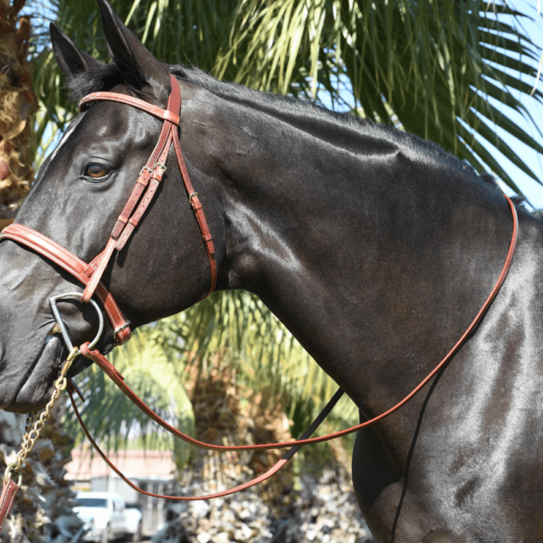 EquuSport Flat Rein