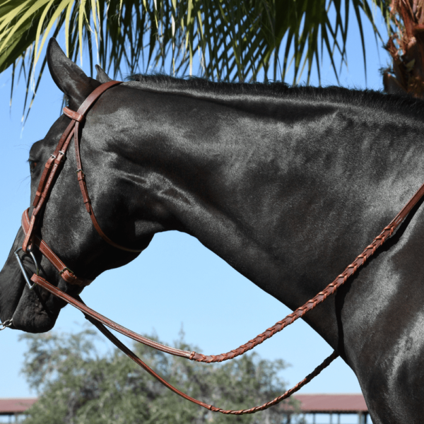 EquuSport Fancy Laced Rein