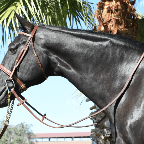 EquuSport Rubber Reins