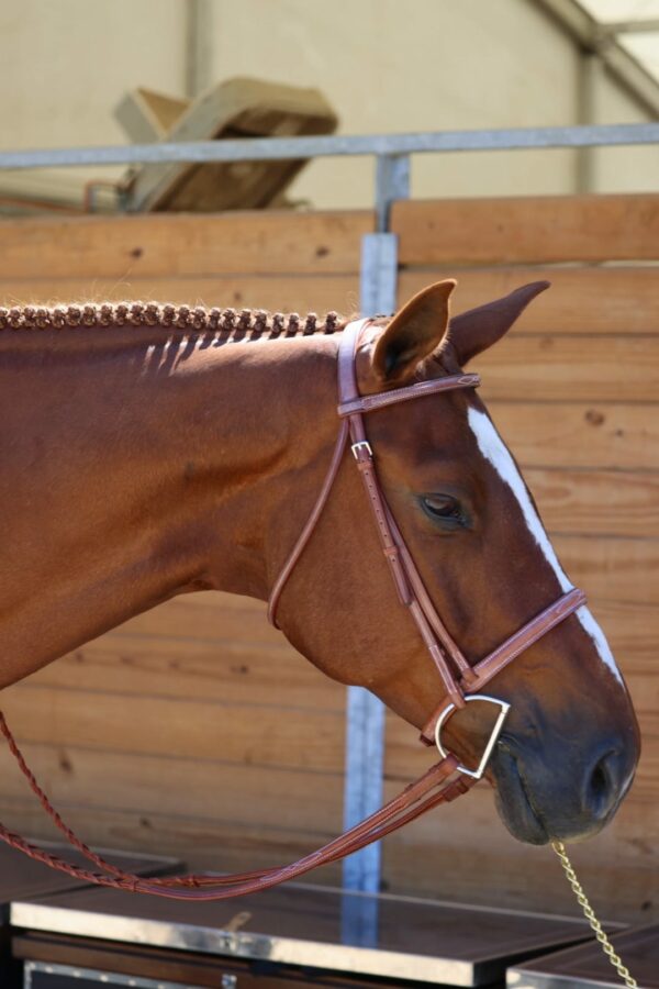 EquuSport Stock Bridle - Image 2
