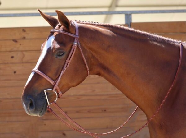 EquuSport Stock Bridle