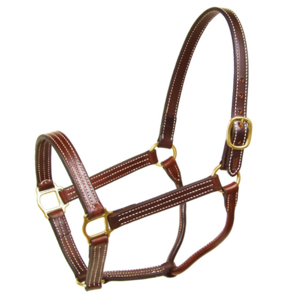 Walsh Leather Halter