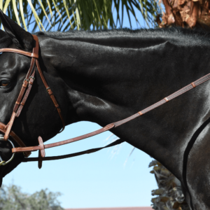 EquuSport Rubberized Web Reins