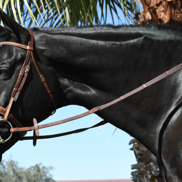 EquuSport Rubberized Web Reins