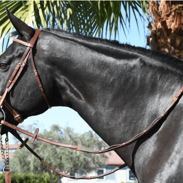 EquuSport Rubberized Web Reins with Loops