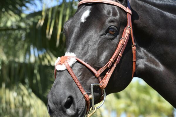 EquuSport Figure 8 Bridle - Image 3