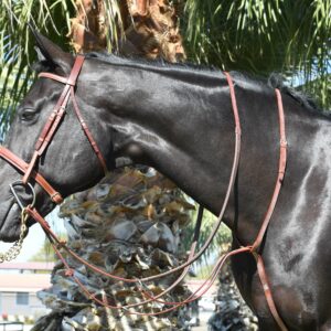EquuSport Running Martingale