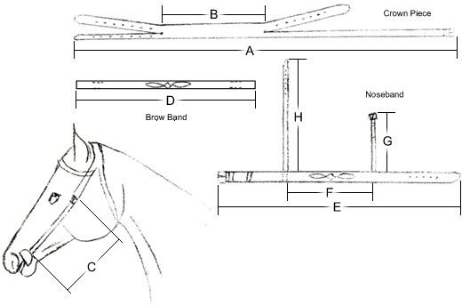 bridle measurement